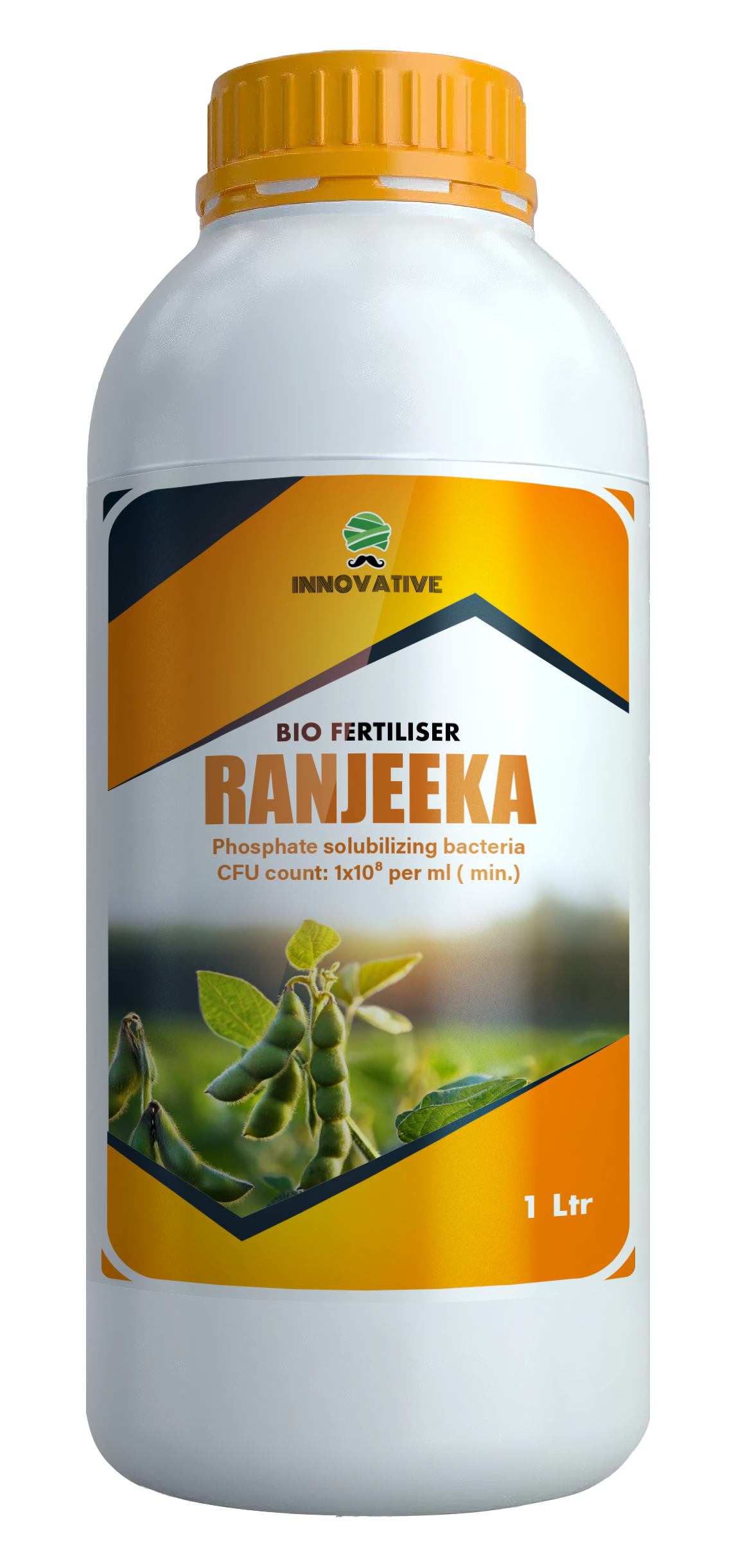 RANJEEKA
