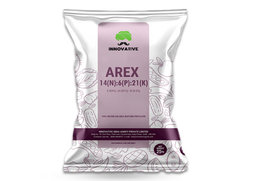 AREX