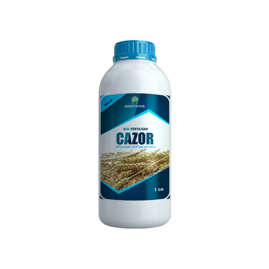 CAZOR