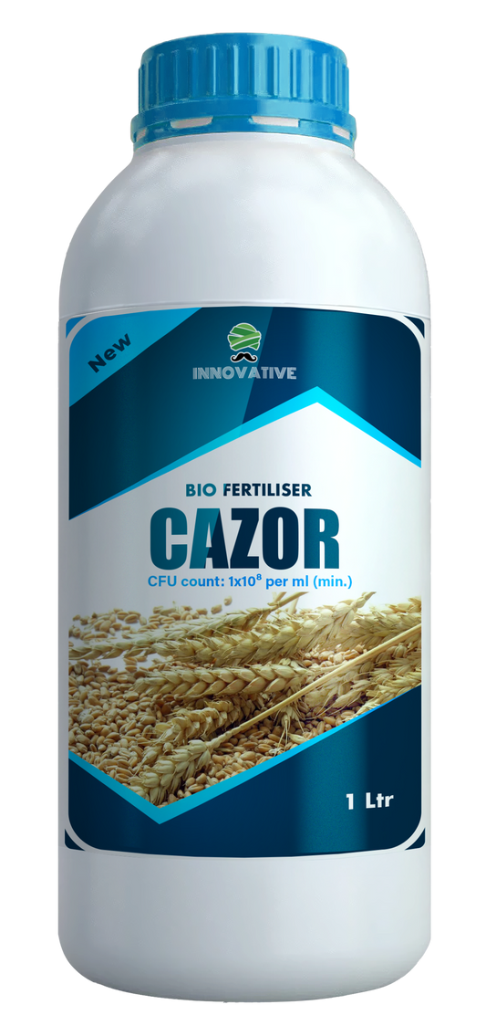 CAZOR