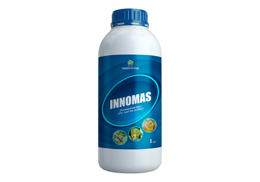 INNOMAS