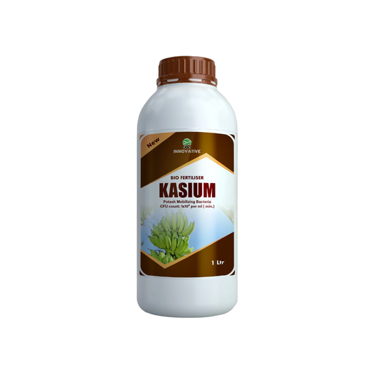 KASIUM