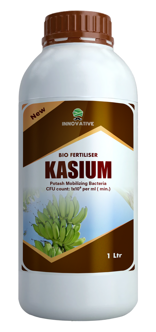 KASIUM