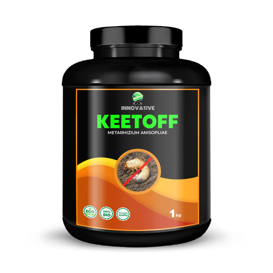 KEETOFF