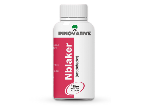 NBLACKER