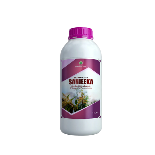 SANJEEKA