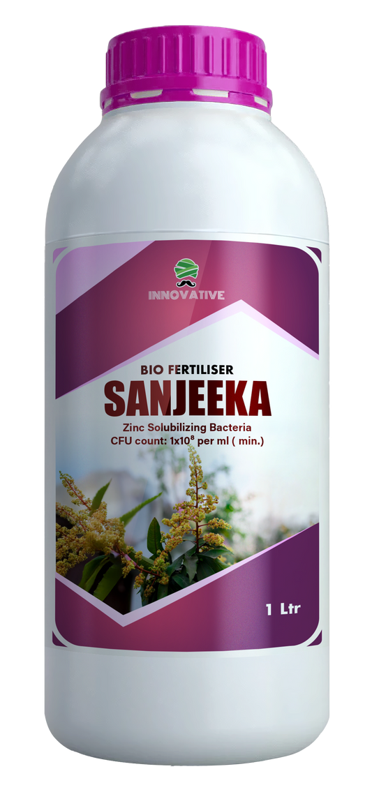 SANJEEKA