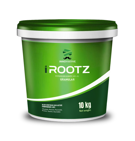 i ROOTZ
